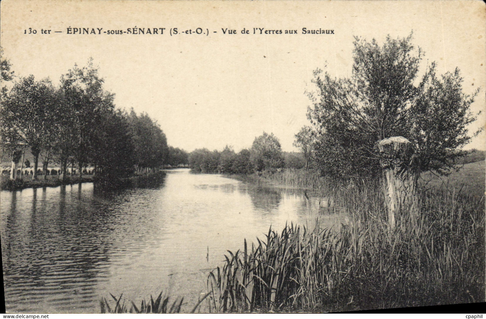CPA Epinay Sous Senart Vue De I'Yerres Aux Sauclaux