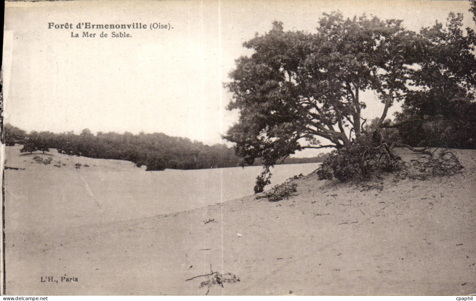 CPA Ermenonville (Oise) La Mer de Sable