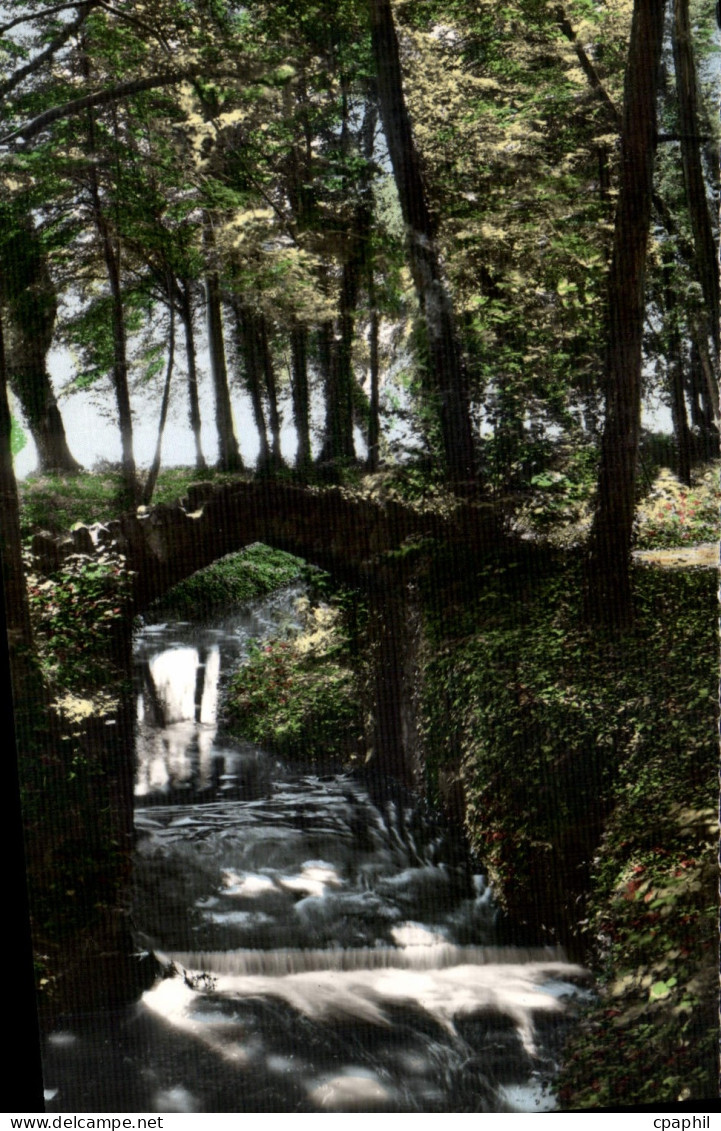 CPA Ermenonville Oise Le Petit Pont de la Launette