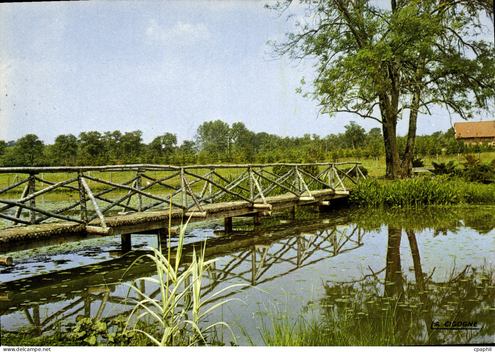 CPA Ervy le Chatel Aube L'Etang