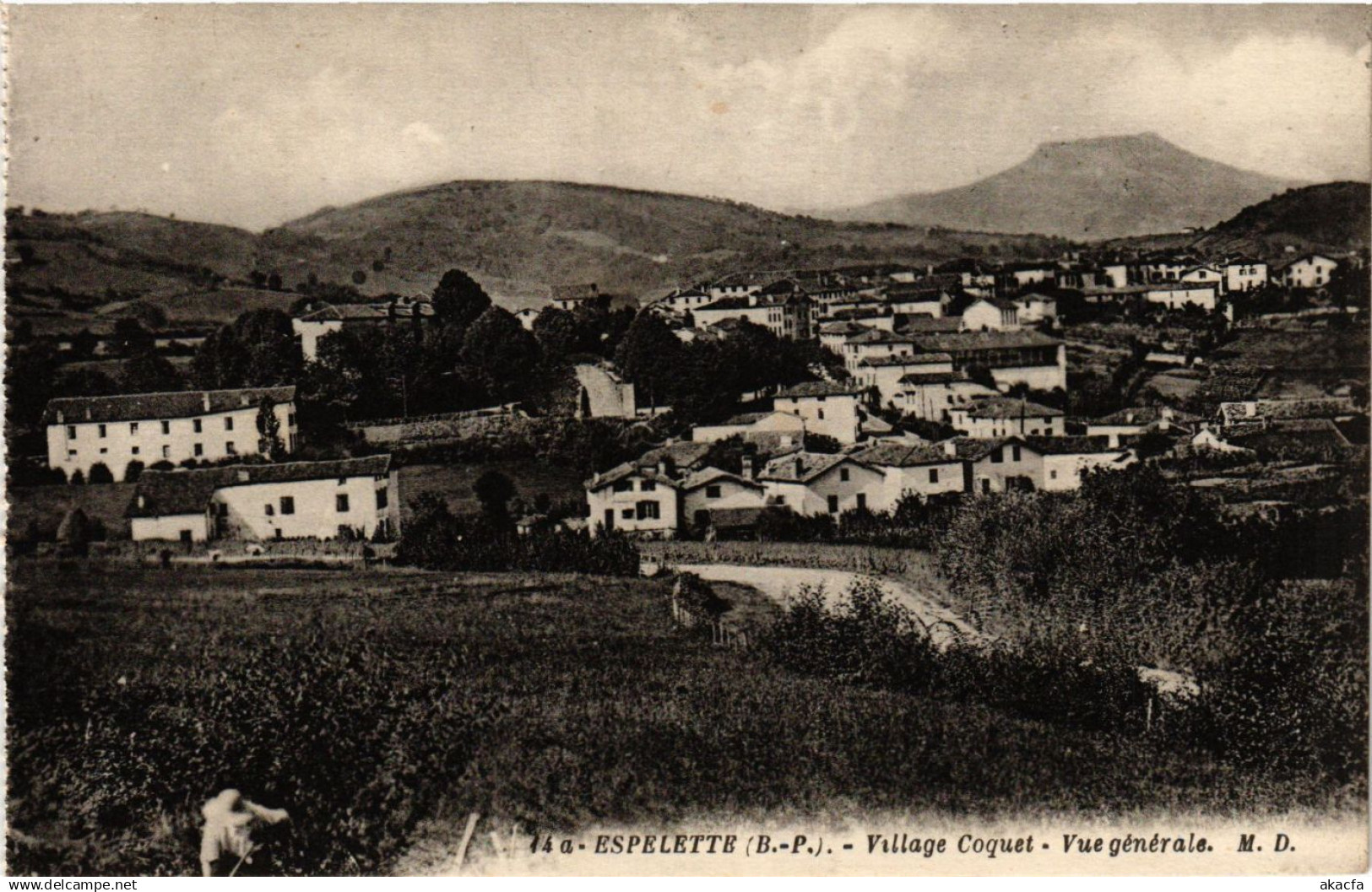 CPA ESPELETTE - Village Coquet - Vue générale (365433)