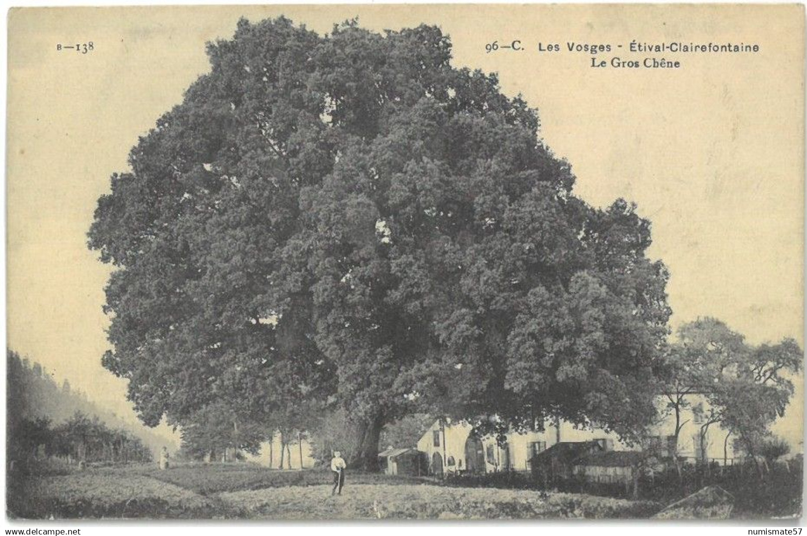 CPA ETIVAL CLAIREFONTAINE - Le Gros Chêne - Animée