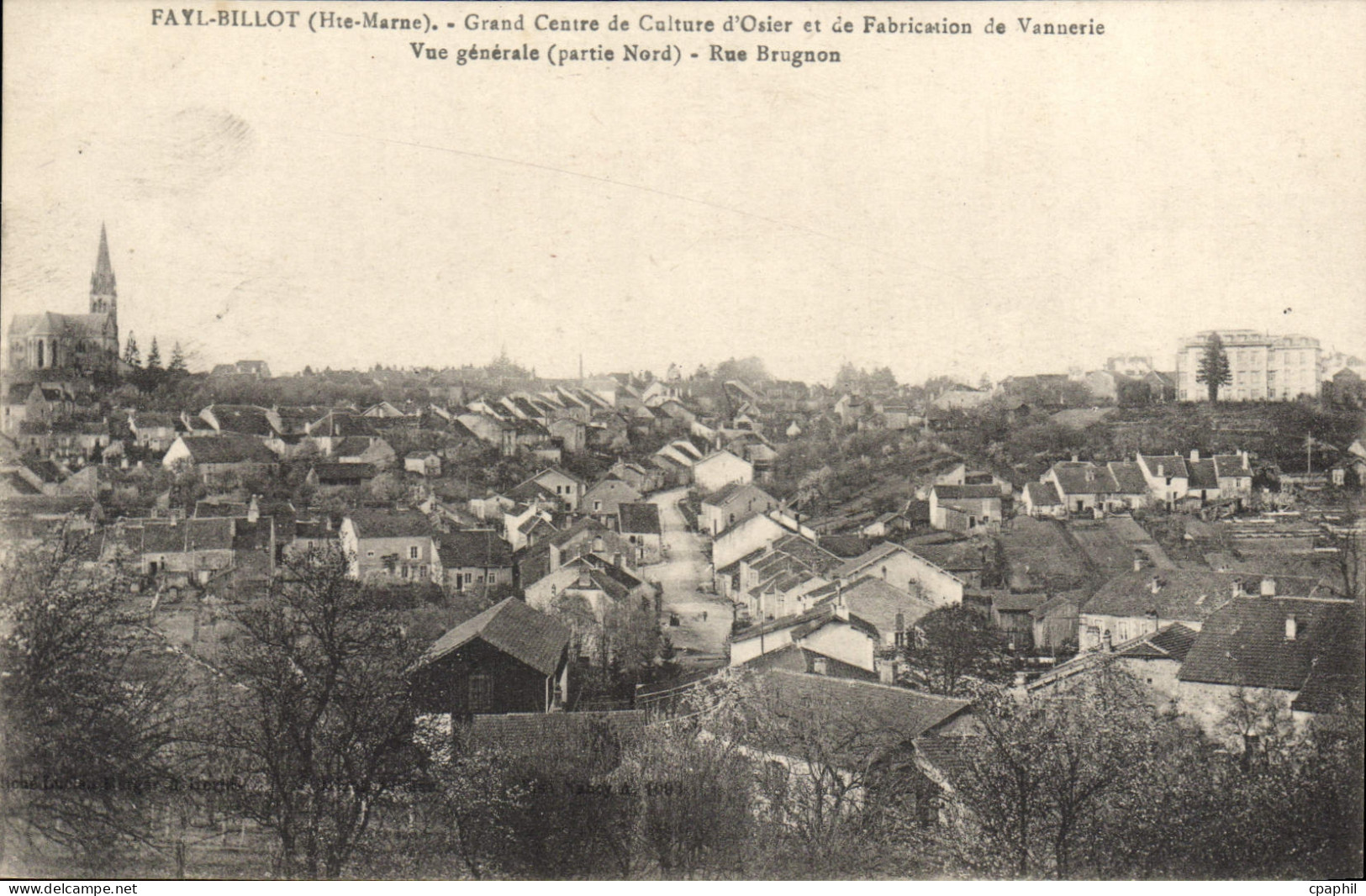 CPA Fayl Billot Grand Centre De Culture d'osier vannerie