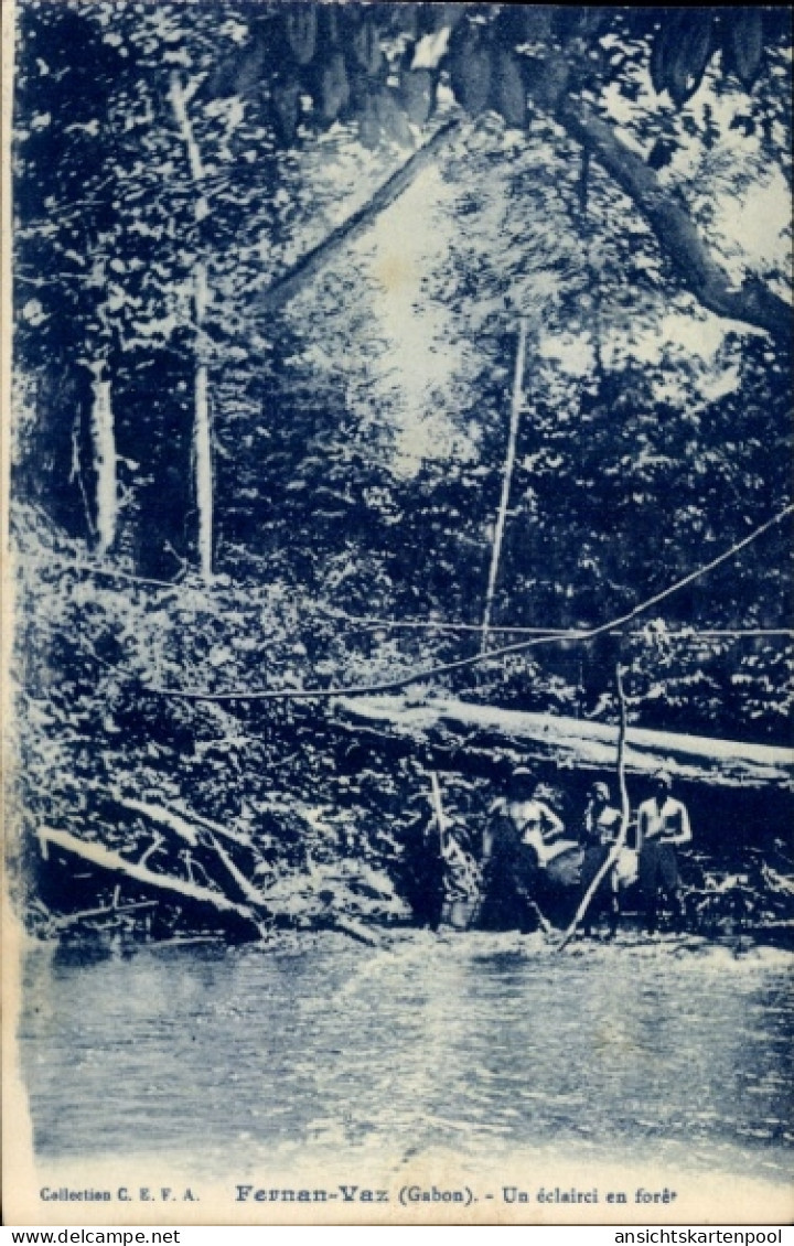 CPA Fernan Vaz Gabun, an der Lichtung im Wald