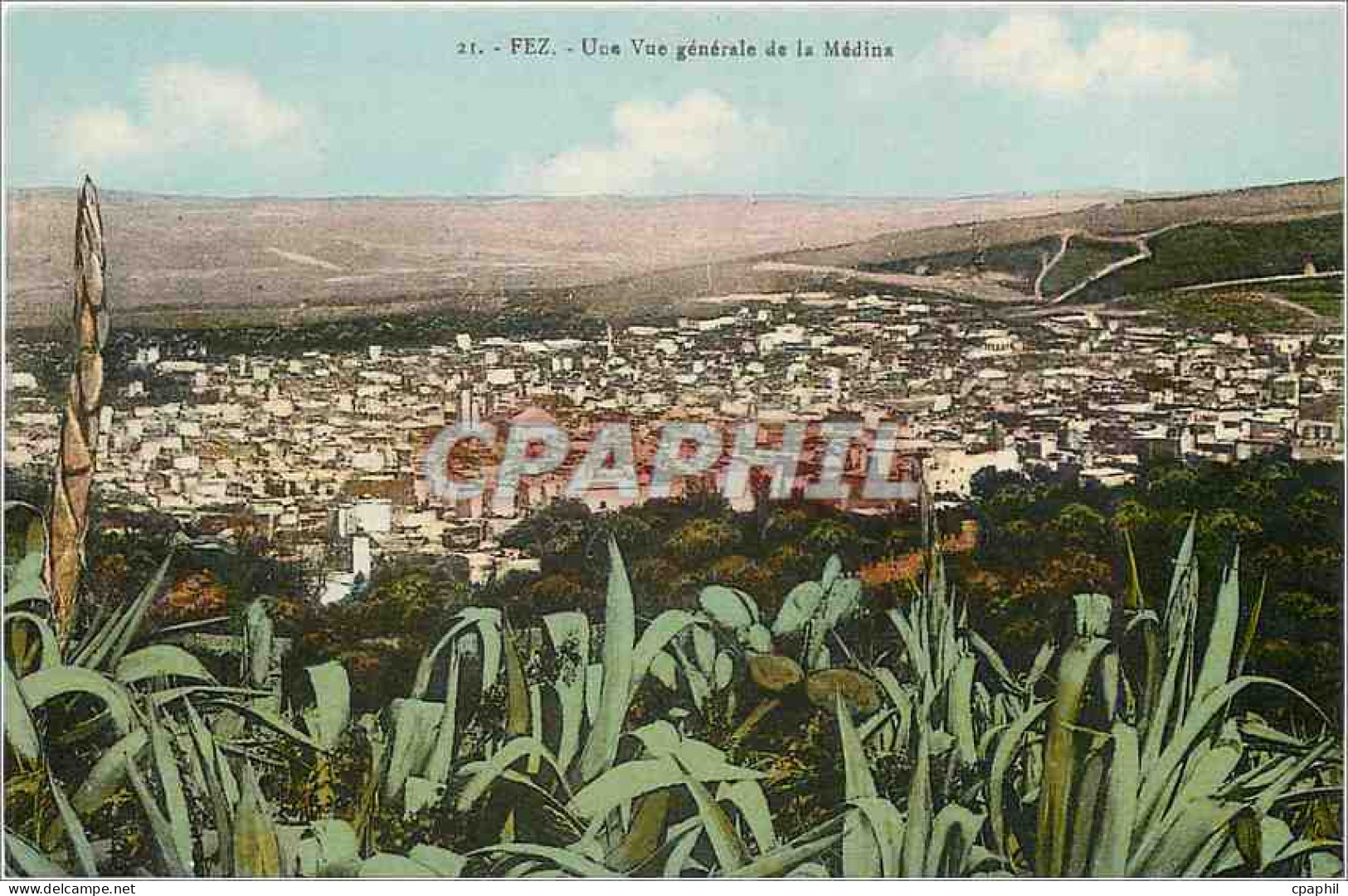 CPA Fez une vue generale de la Medina