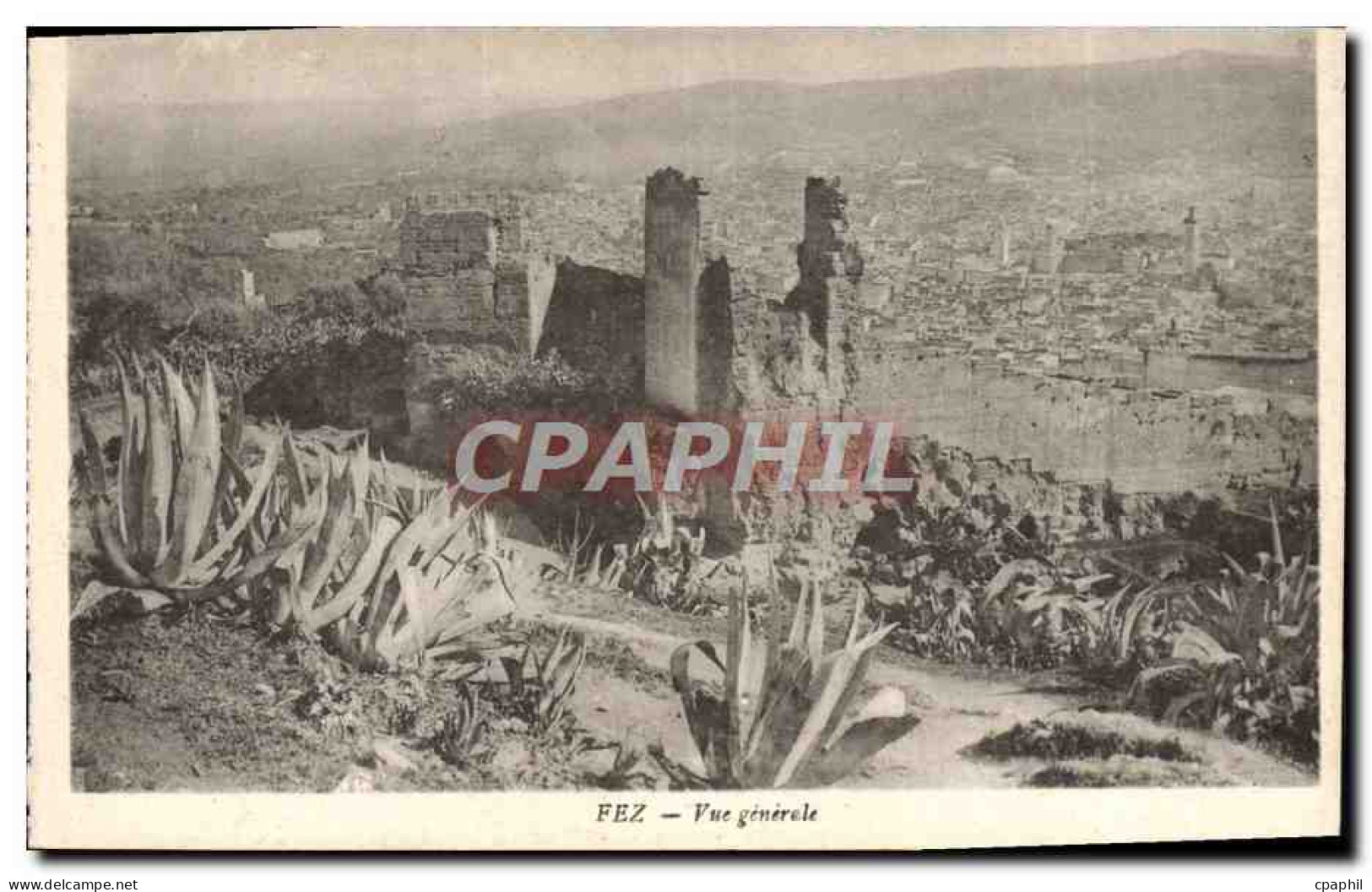 CPA Fez Vue Generale