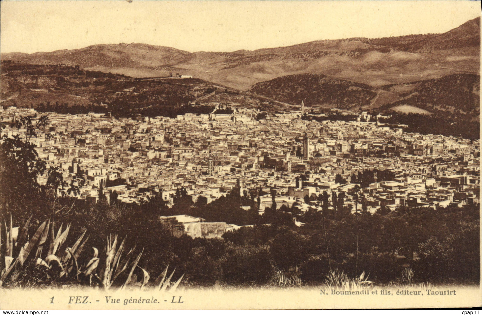 CPA Fez Vue Generale
