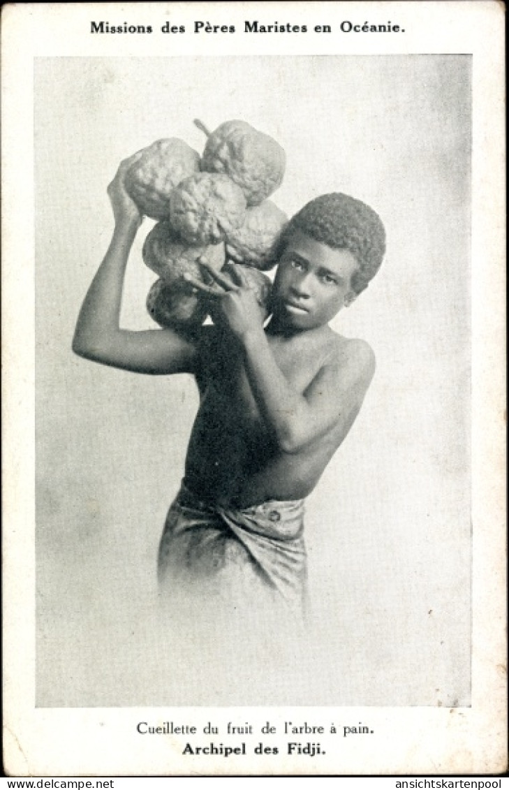 CPA Fidschi, Mission des Peres Maristes, Cueillette du fruit de l'arbre a pain