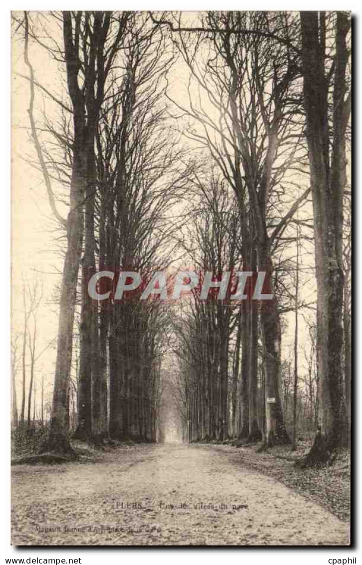 CPA Flers Une allee du parc