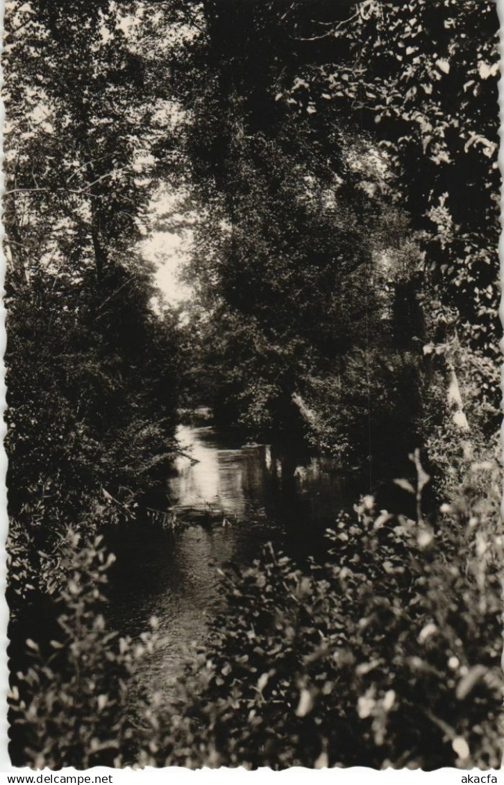 CPA FLIXECOURT Bords de la Nievre (17486)