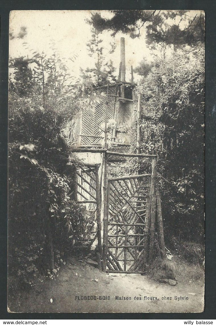 +++ CPA - FLOBECQ - BOIS - VLOESBERG - Maison des Fleurs , chez Sylvie //