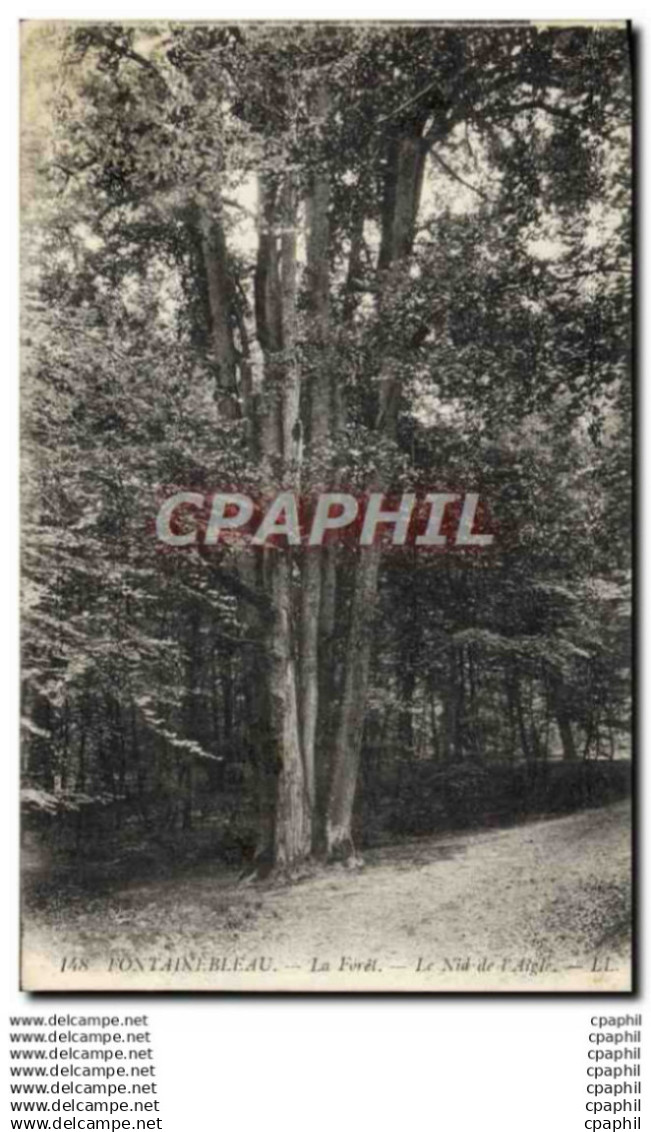 CPA Fontainebleau La Forel Le Nid de l'Aigle