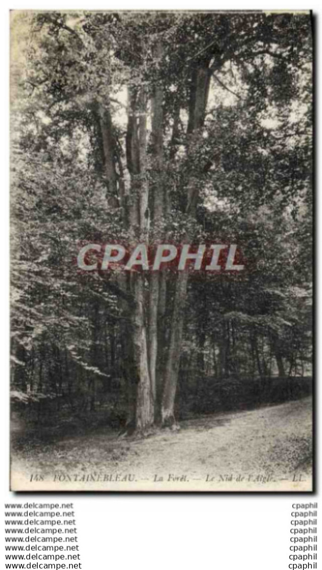 CPA Fontainebleau La Forel Le Nid de l'Aigle