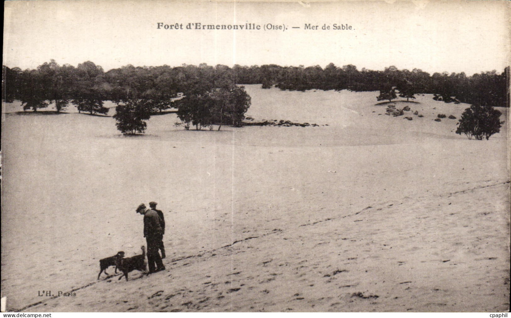 CPA Foret d Ermenonville (Oise) La Mer de Sable