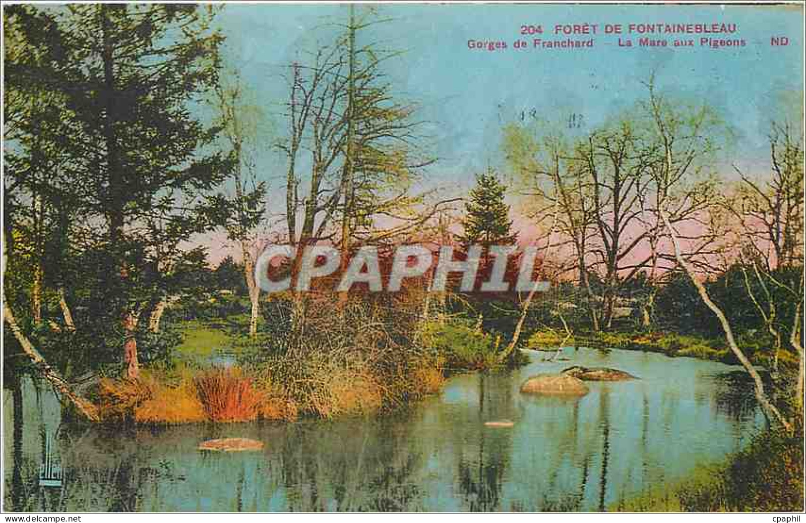 CPA Foret de fontainebleau Gorges de franchard Le Mars aux pigeons