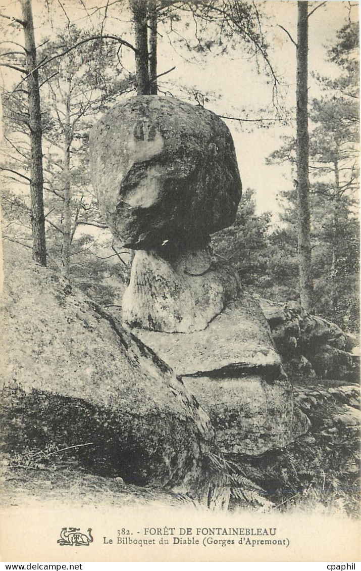 CPA Foret de fontainebleau Le Bilboquet du Diable Gorges d Apremont