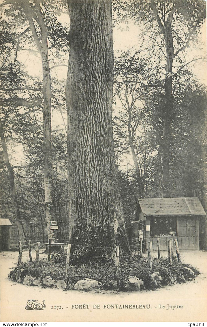 CPA Foret de fontainebleau le jupiter
