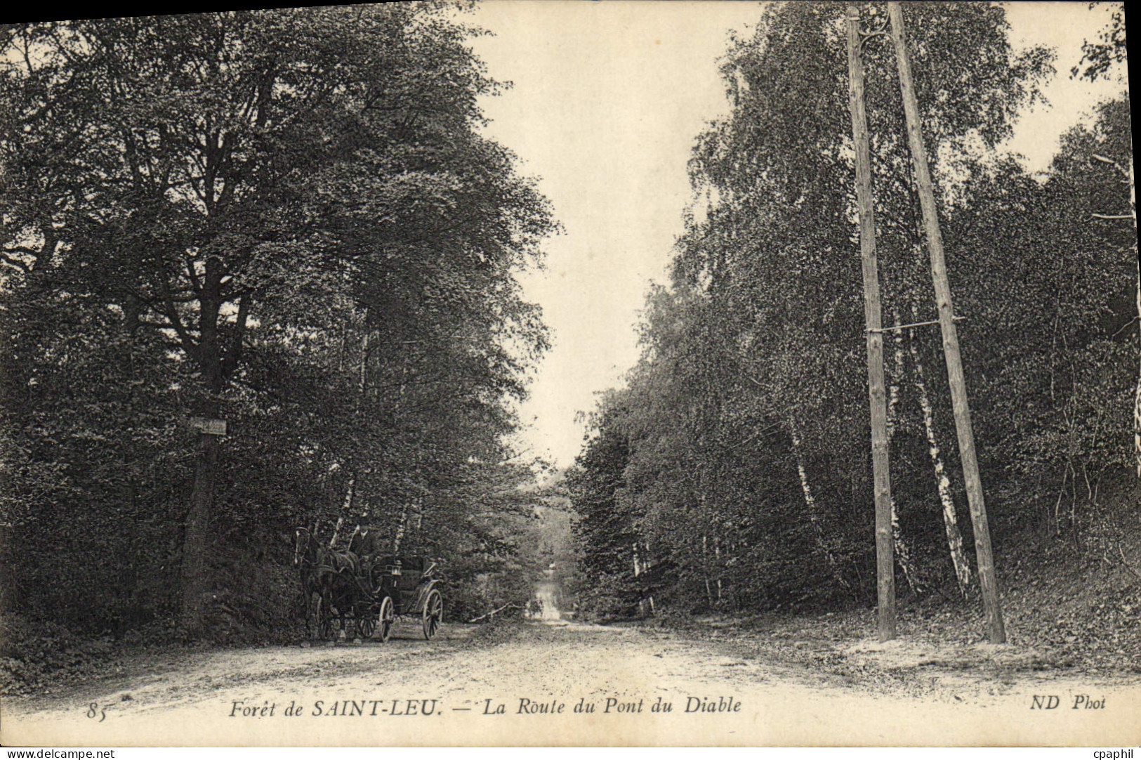 CPA Foret de Saint Leu La route du pont du diable