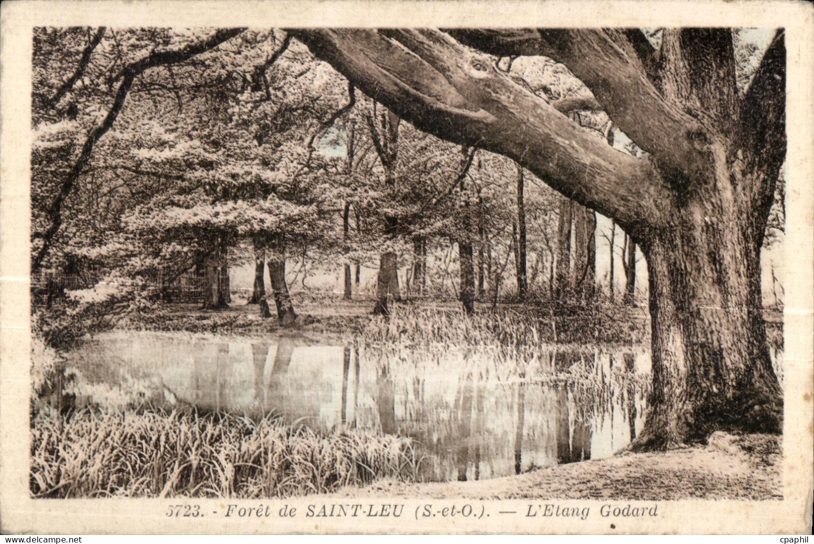 CPA Foret de saint leu (S et-O) L etang godard