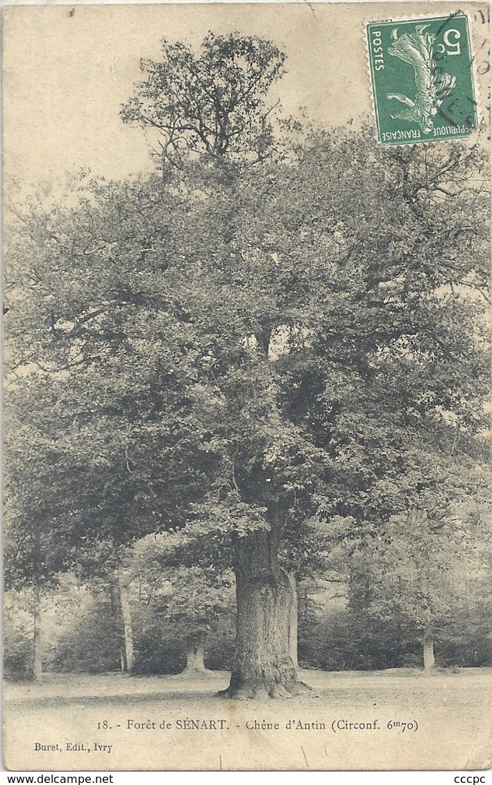CPA Forêt de Sénart Chêne d'Antin