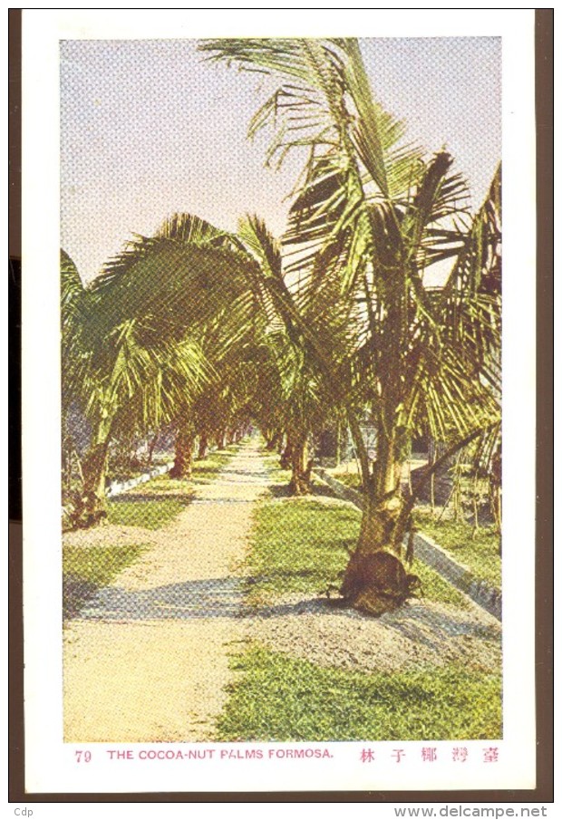 cpa formose  cocoa nut palms