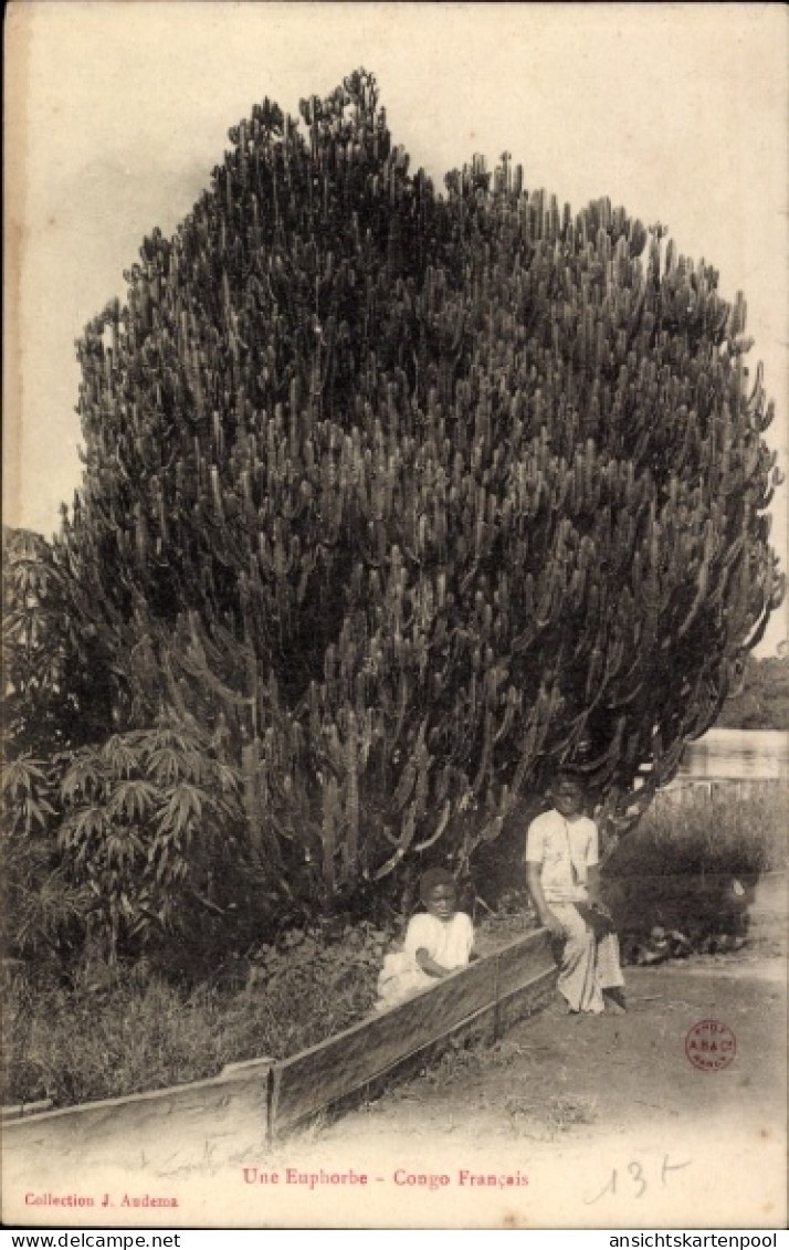 CPA Französisch Kongo, Kinder an Euphorbia, Wolfsmilchgewächs