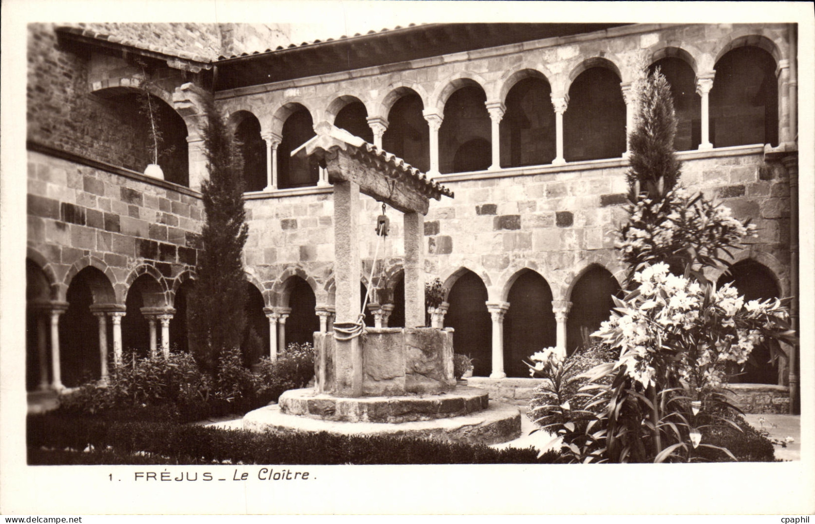 CPA Frejus Le Cloitre