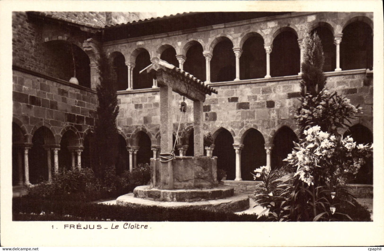 CPA Frejus Le Cloitre