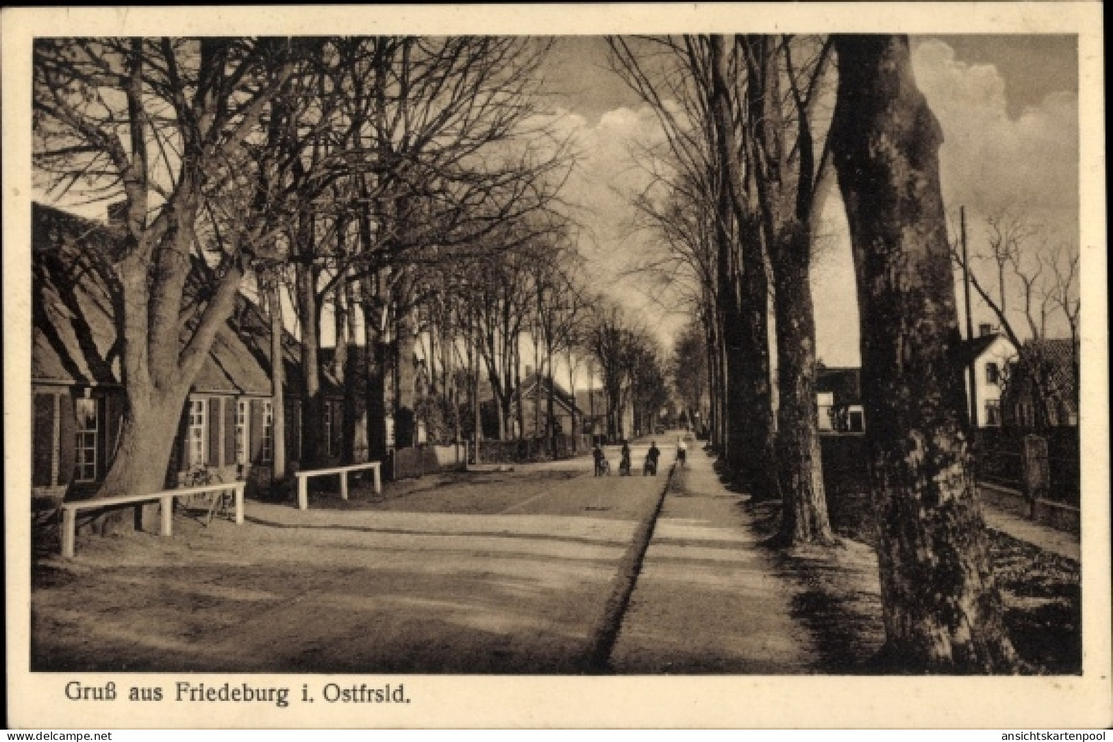 CPA Friedeburg Ostfriesland, Allee