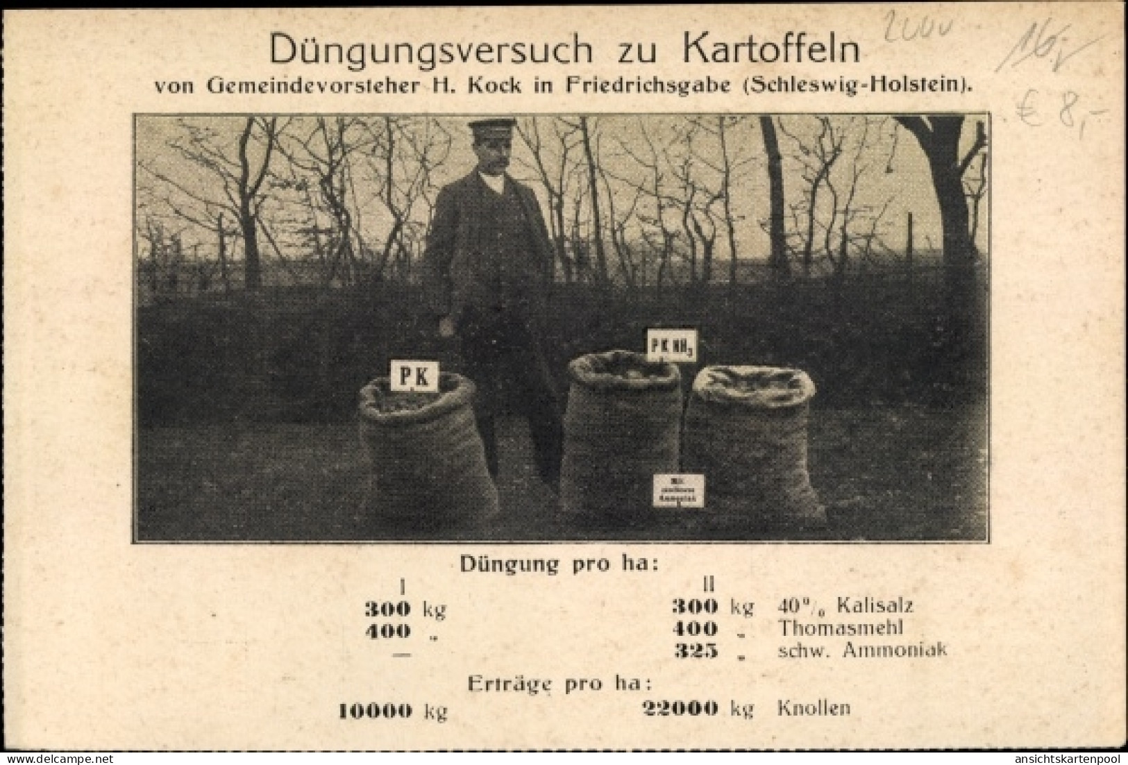 CPA Friedrichsgabe Norderstedt in Schleswig Holstein, Düngungsversuch zu Kartoffeln