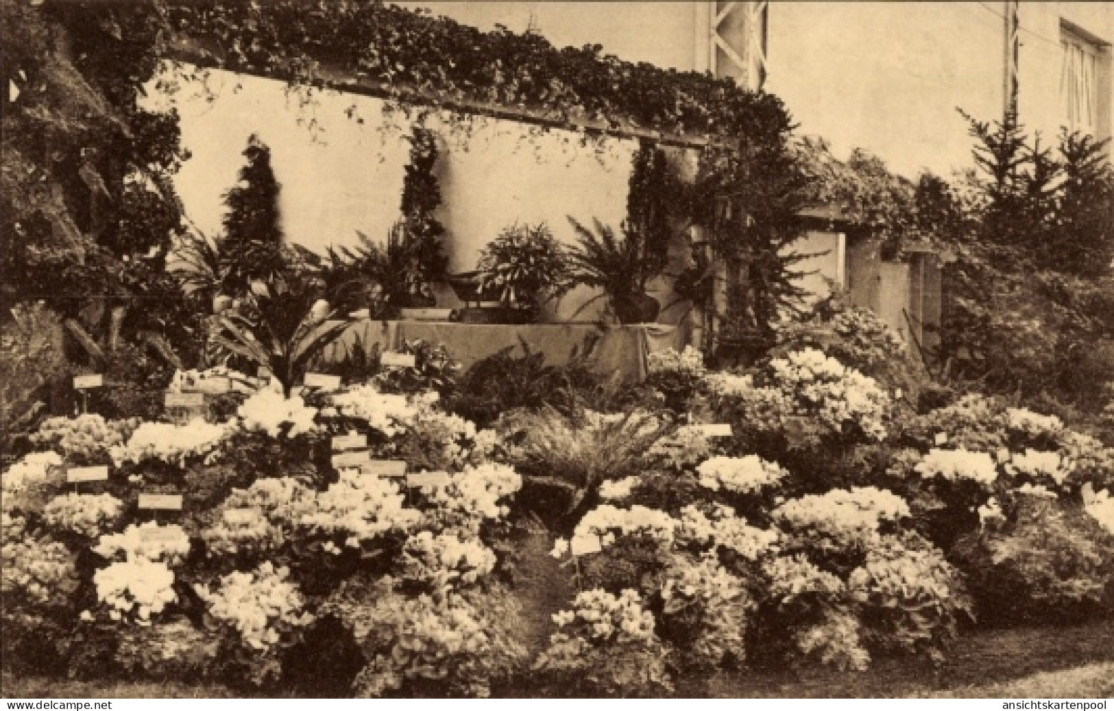 CPA Gand Flandre orientale, Floralies 1938