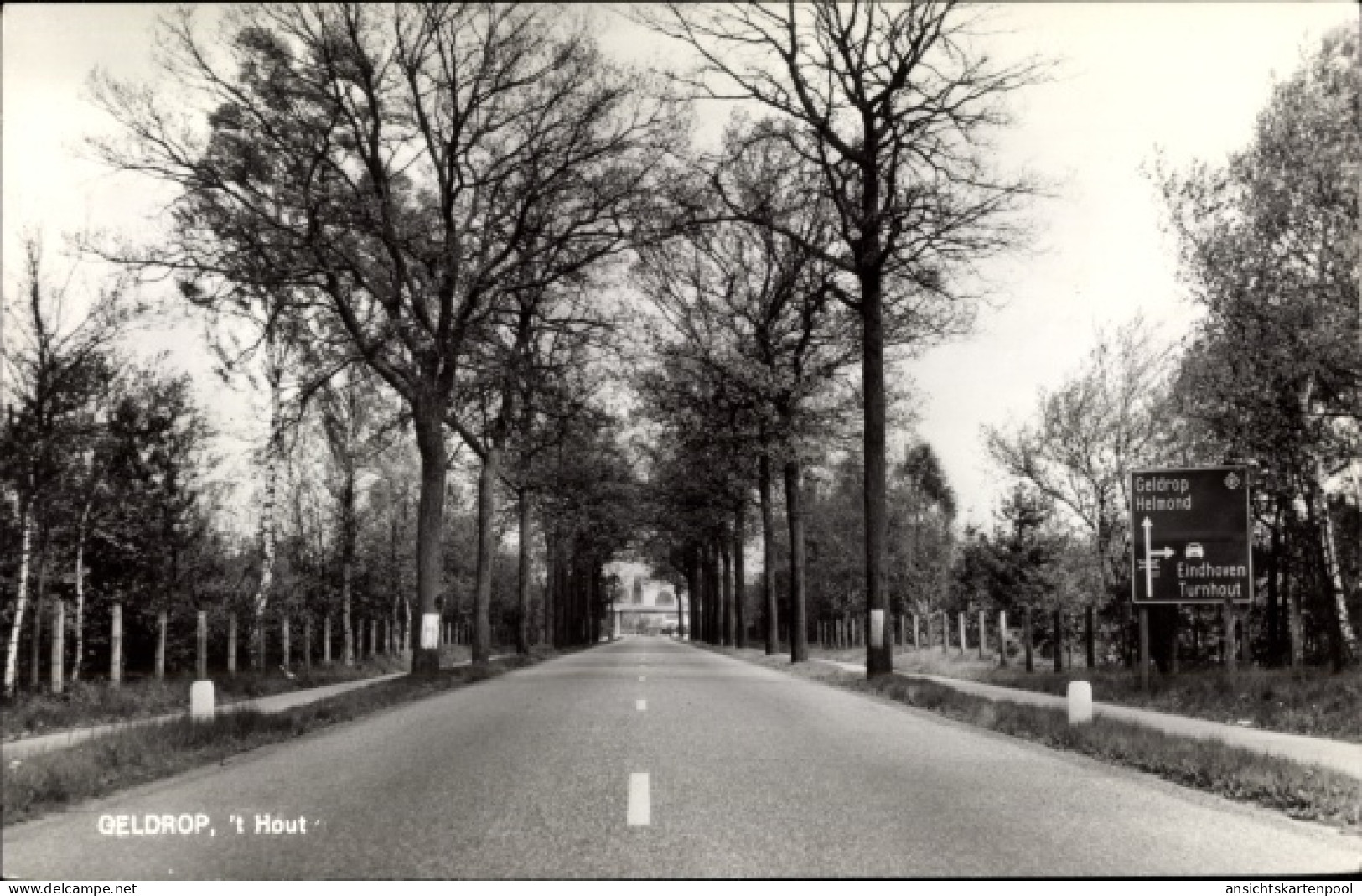 CPA Geldrop Nordbrabant Niederlande, 't Hout