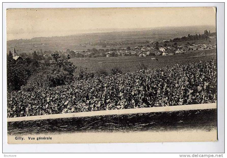 cpa GILLY vue generale  - ph ed steiner 2656