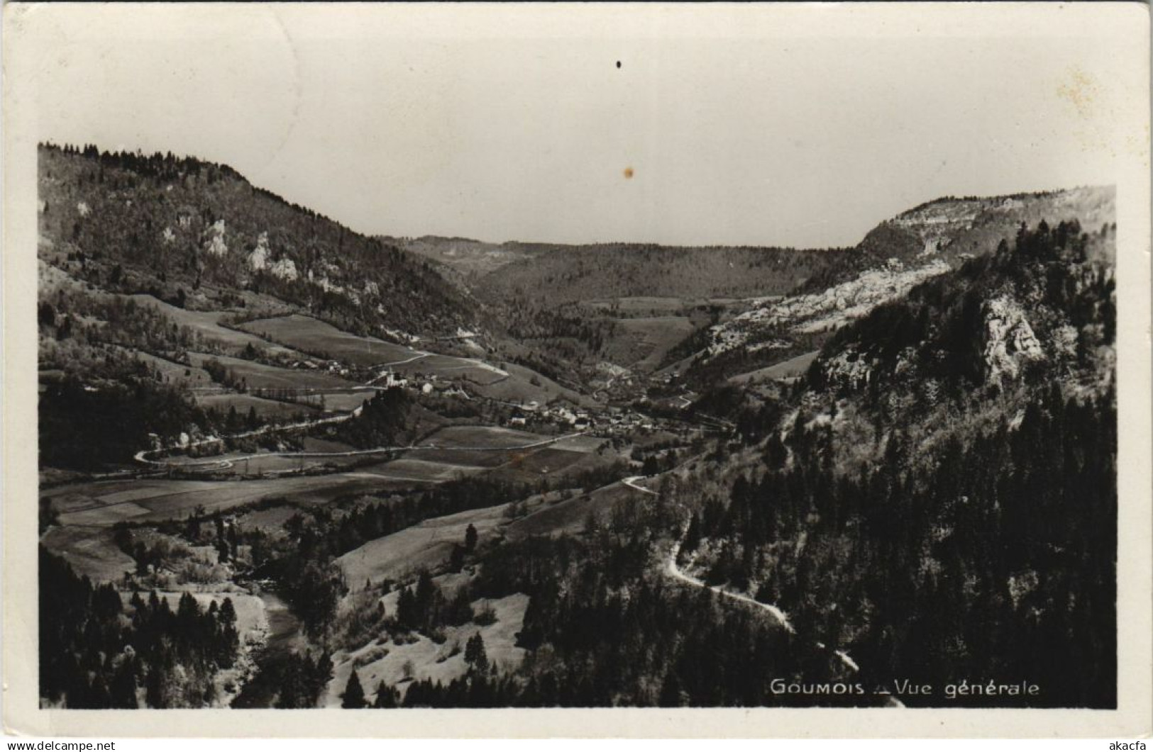 CPA GOUMOIS Vue Generale (1115246)