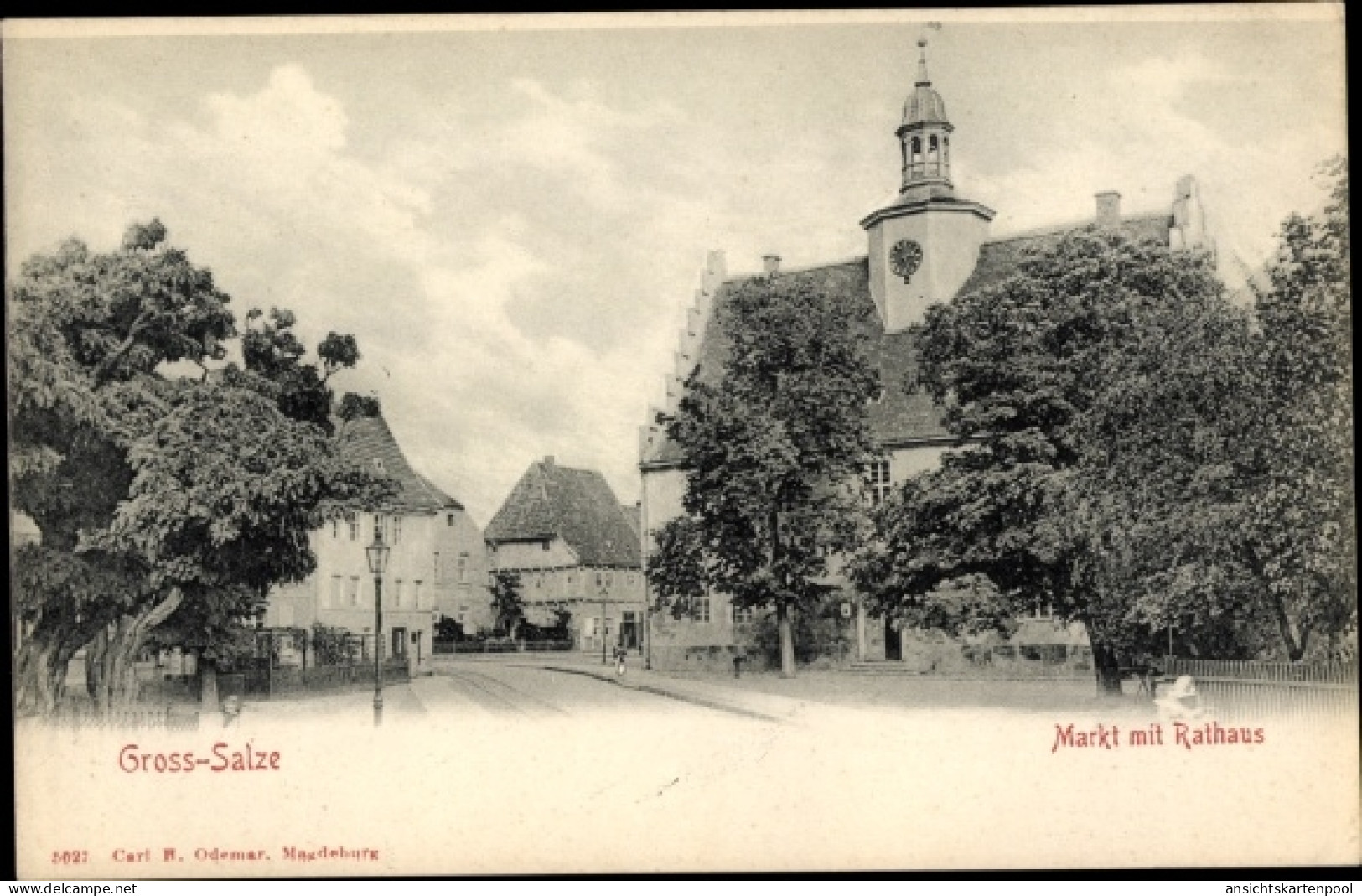 CPA Groß Salze Salzelmen Schönebeck an der Elbe, Markt, Rathaus