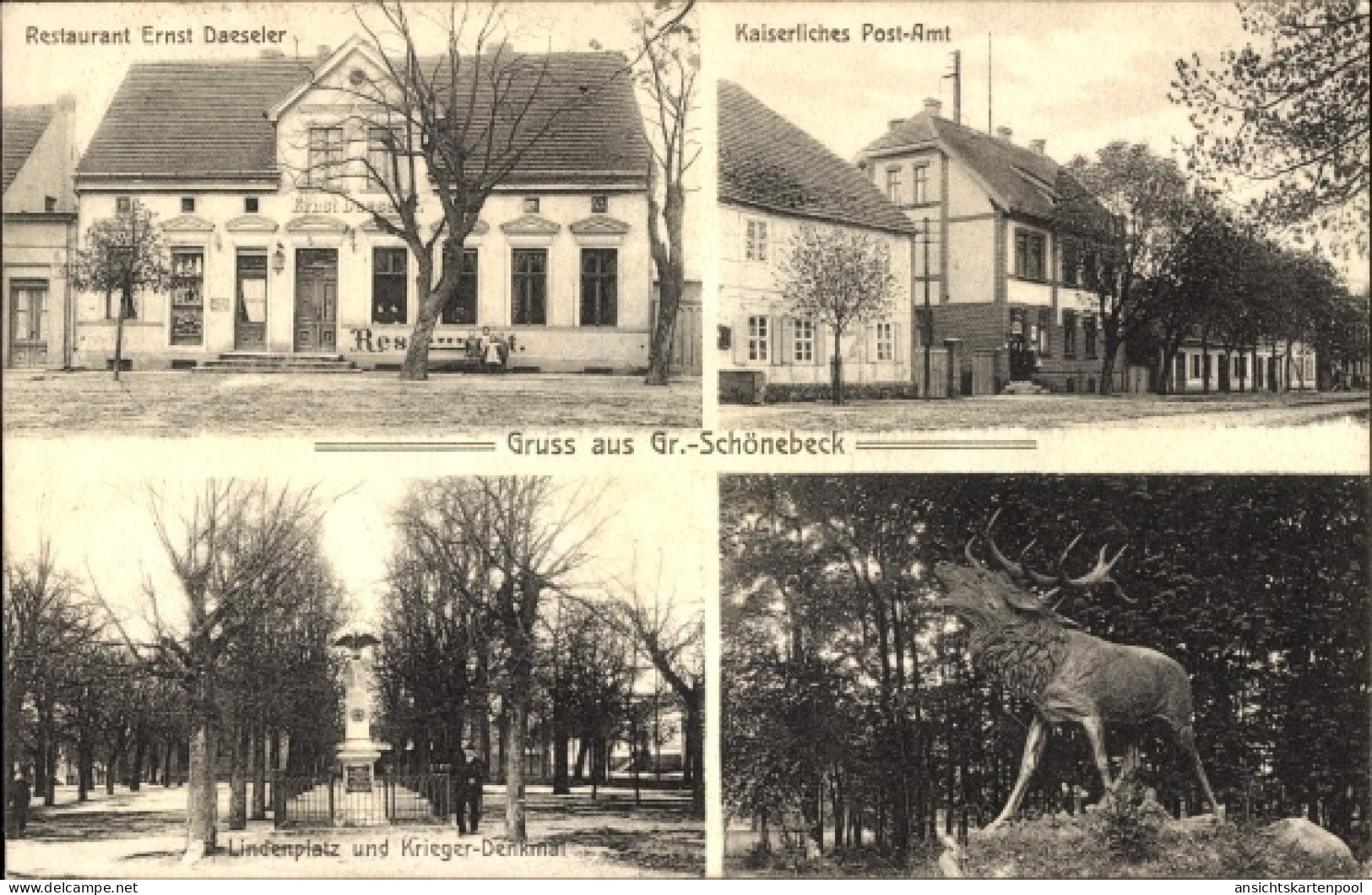 CPA Groß Schönebeck Schorfheide, Restaurant Ernst Daeseler, Post, Lindenplatz, Kriegerdenkmal, Hirsch
