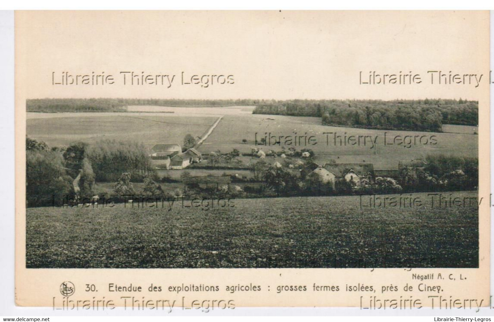 CPA  grosses fermes isolées près de Ciney