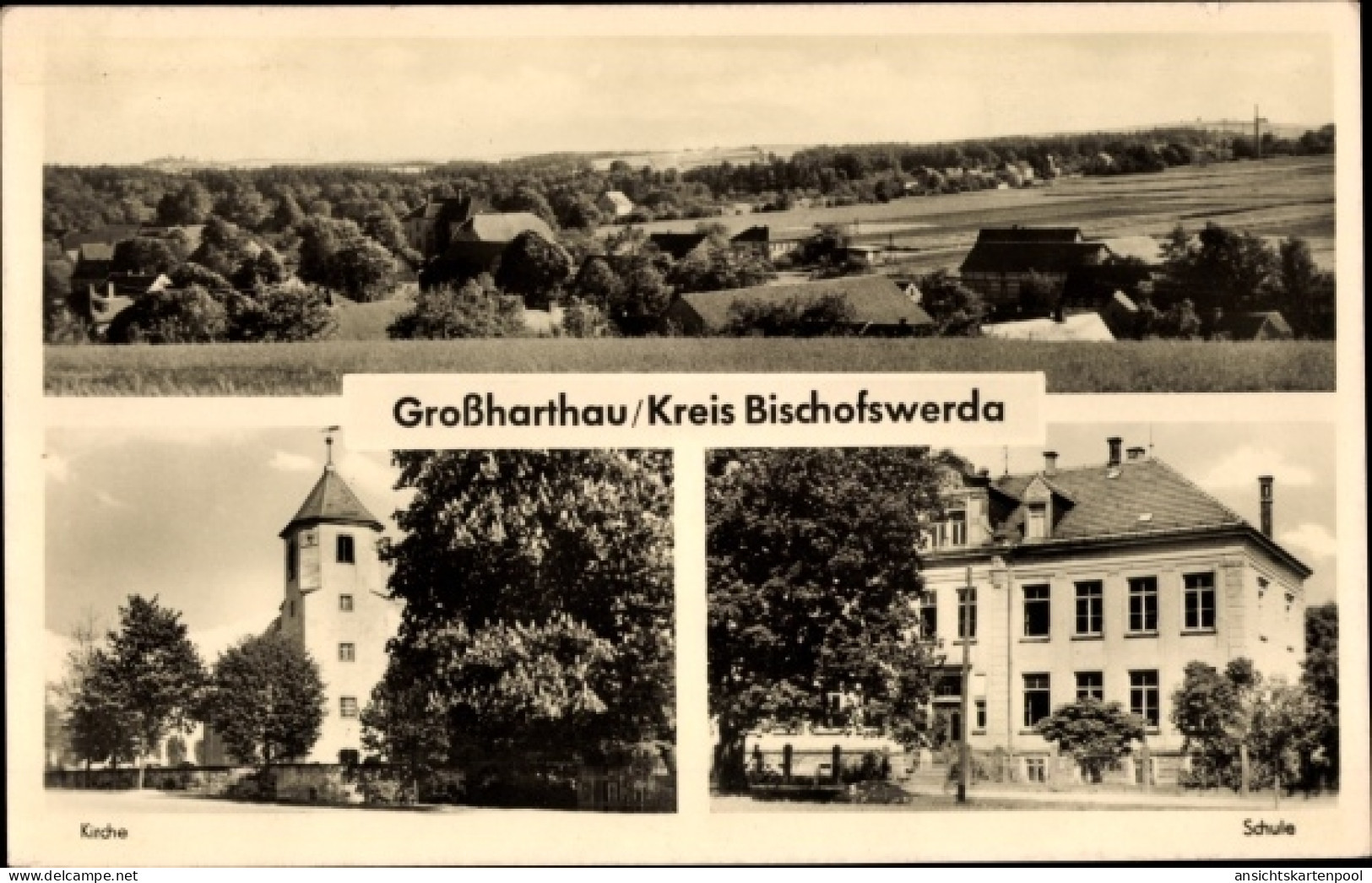 CPA Großharthau in Sachsen, Kirche, Schule, Panorama vom Ort