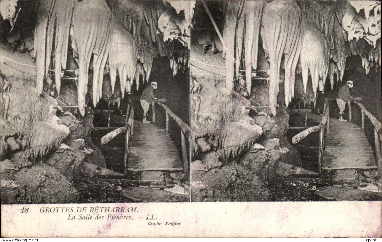 CPA Grottes De Betharram La salle des pieuvres