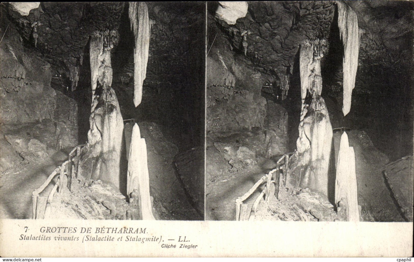 CPA Grottes De Betharram Stalactites vivantes