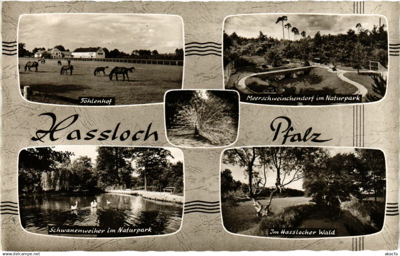 CPA Gruss aus Hassloch GERMANY (898757)