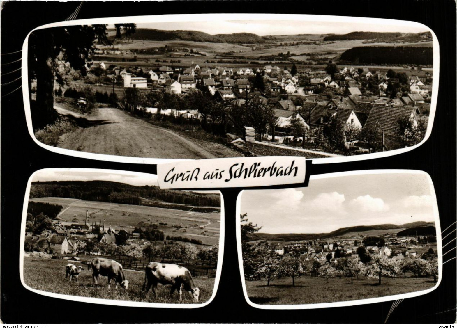 CPA Gruss aus SCHLIERBACH GERMANY (865547)