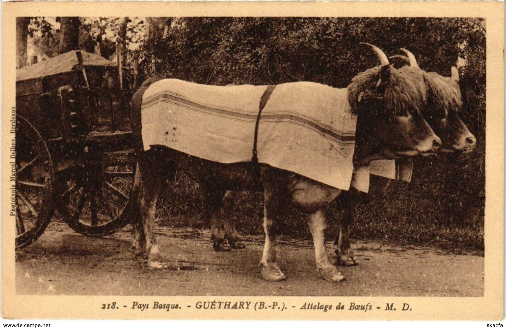 CPA GUETHARY - Attelage de Boeufs (987863)