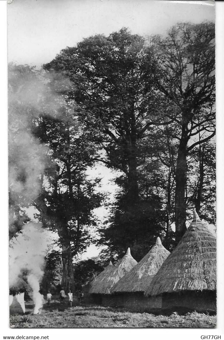 CPA GUINEE FRANCAISE -village en forêt
