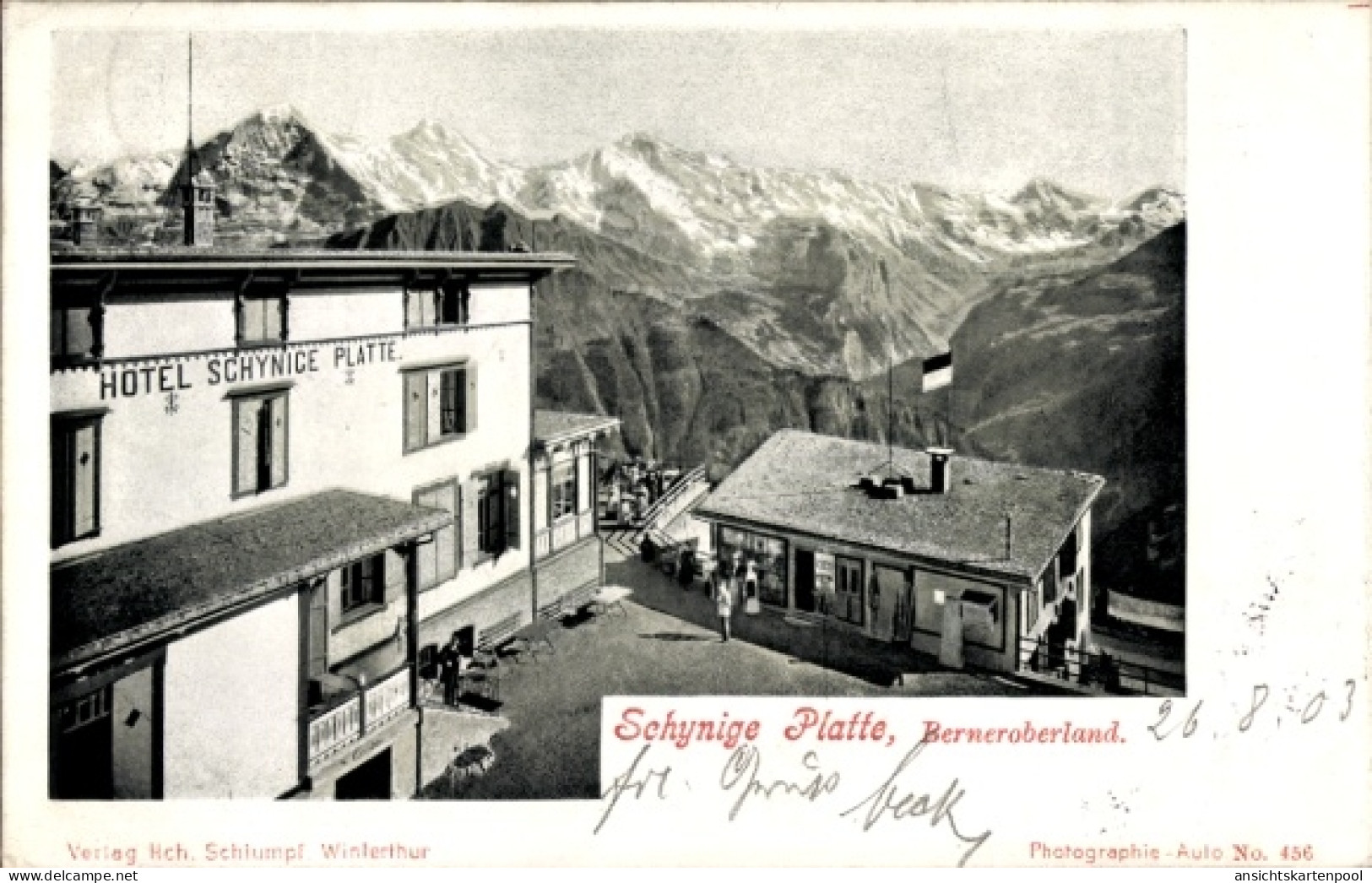 CPA Gündlischwand Kanton Bern, Hotel Schynige Platte