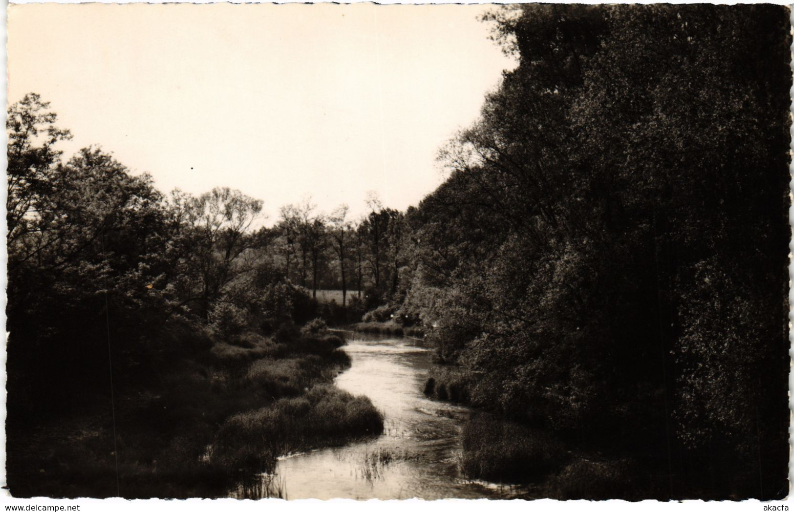 CPA Gurgy Les Graviers FRANCE (1451978)