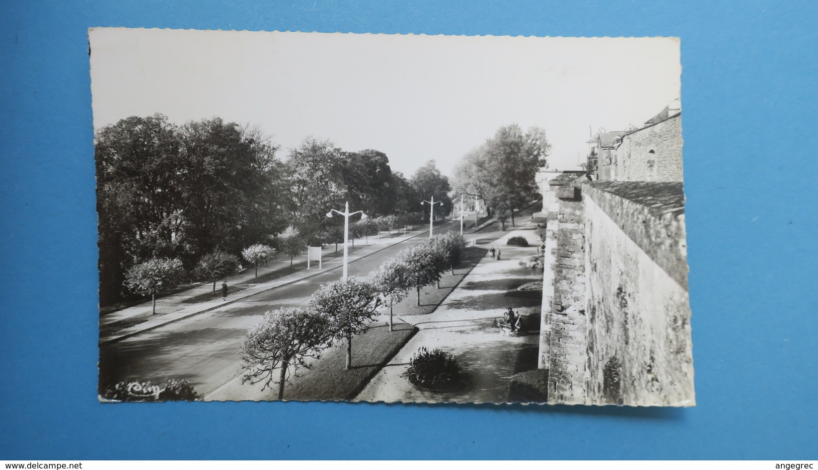CPA  Haute Marne -  Langres -  La Belle Allée