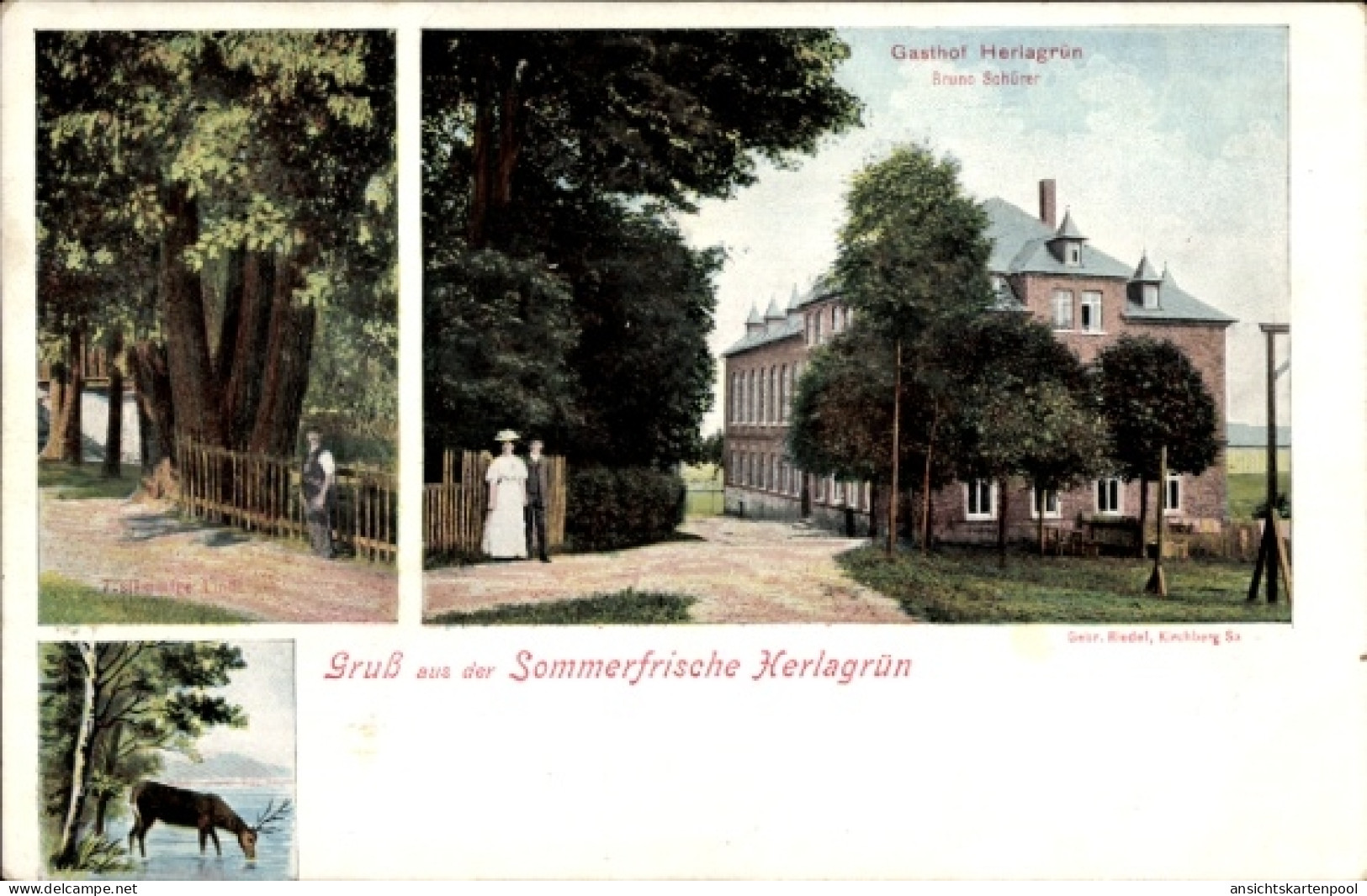 CPA Herlagrün Obercrinitz Crinitzberg Sachsen, Gasthof Bruno Schürer, Gredel, Keberg Sa