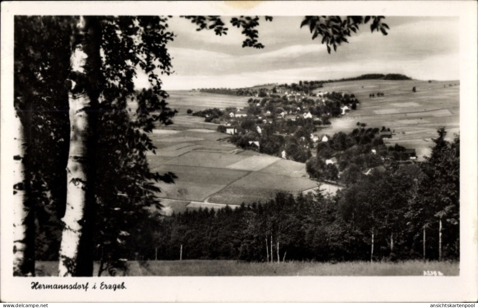 CPA Hermannsdorf Elterlein im Erzgebirge, Panorama