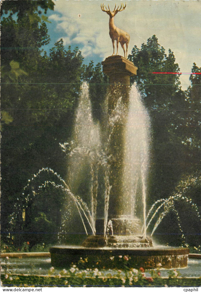 CPA Hirsch im Stadtpark